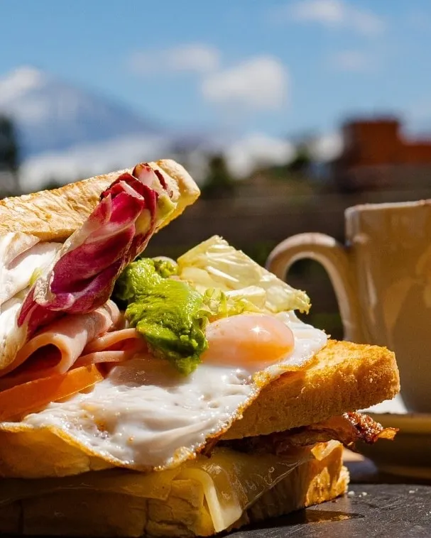 Toasted ham and cheese sandwich