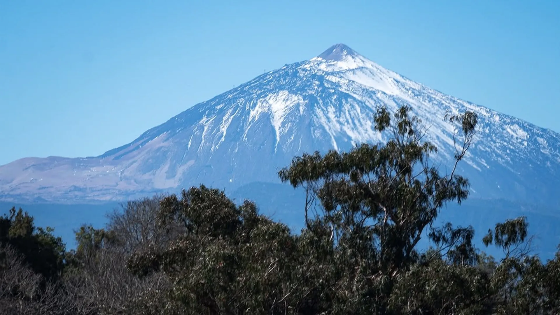 El Teide nevado visto desde Ravelo, por encima del arbolado